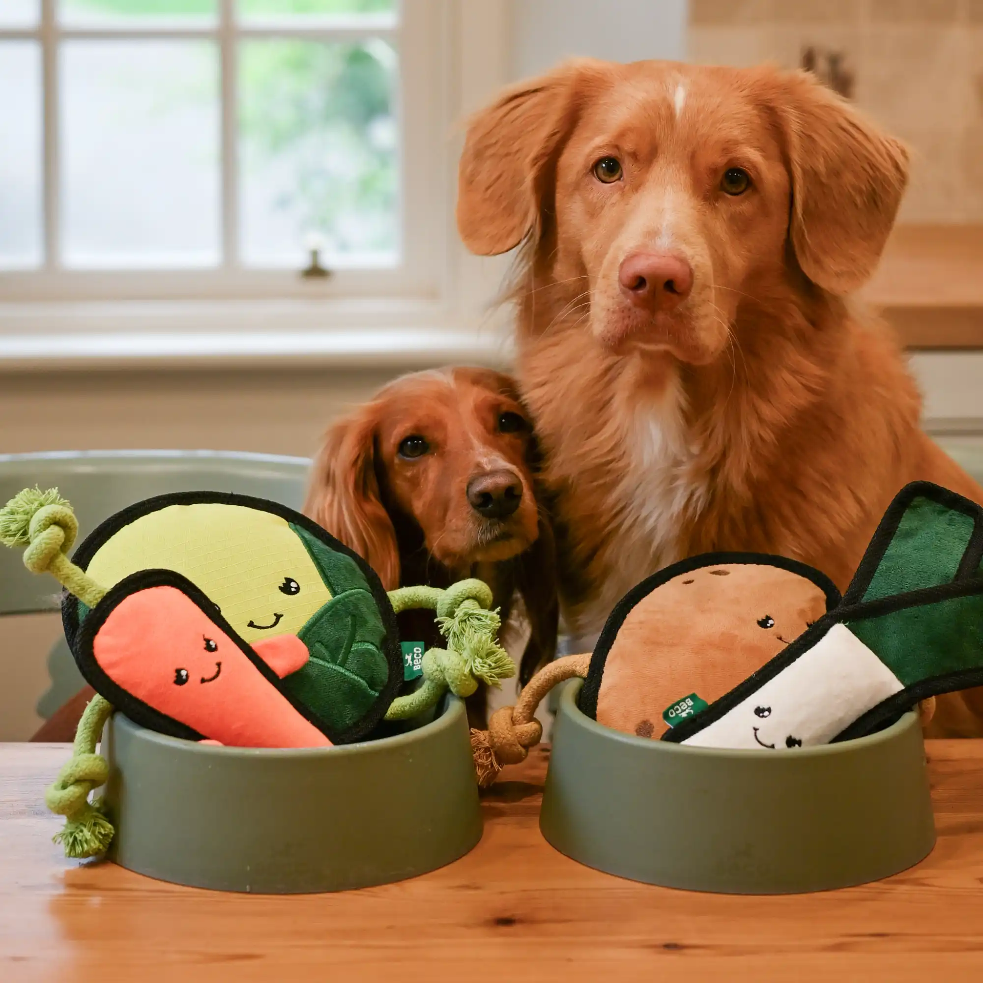 Plush Carrot Dog Toy - Image 6