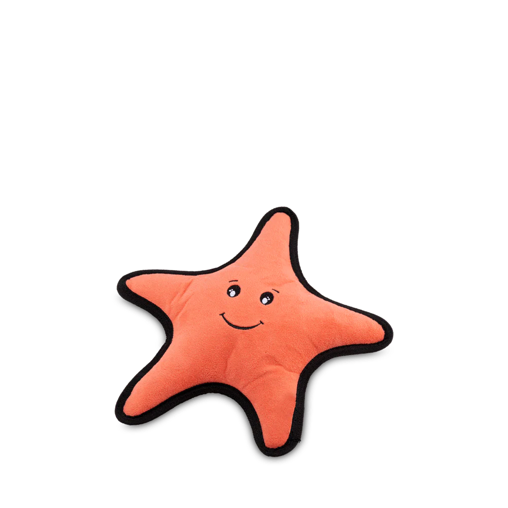 Recycled Rough & Tough Starfish