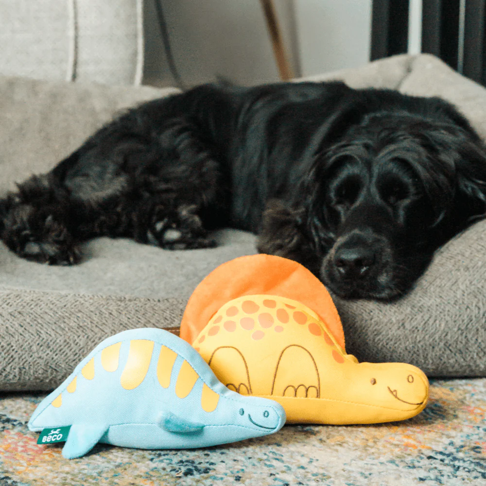 Plesiosaur Baby Dinosaur Dog Toy - Image 3