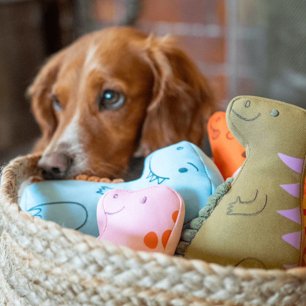 Pink Baby Dinosaur Dog Toy - Image 2